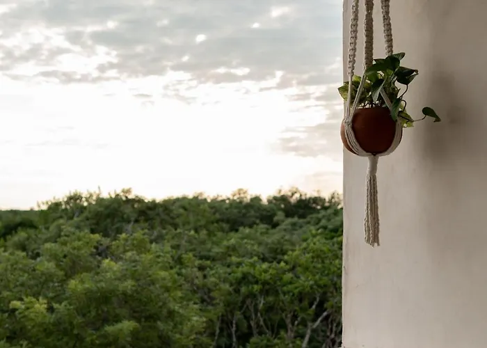 Oniric 4* Tulum